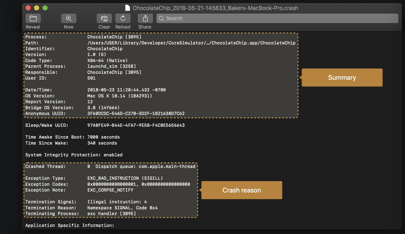 Understanding Crashes And Crash Logs 纳兰若水